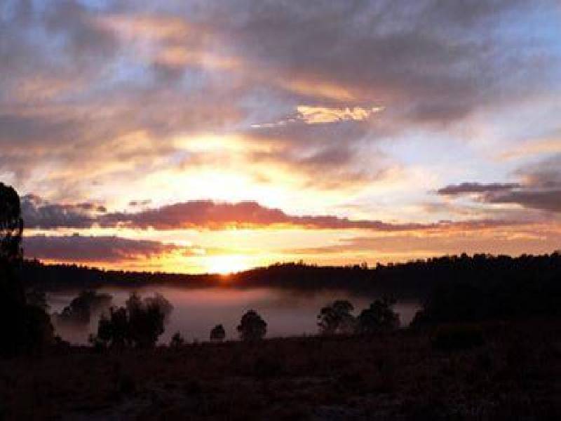 230  Bradley Drive, Tumbarumba NSW 2653