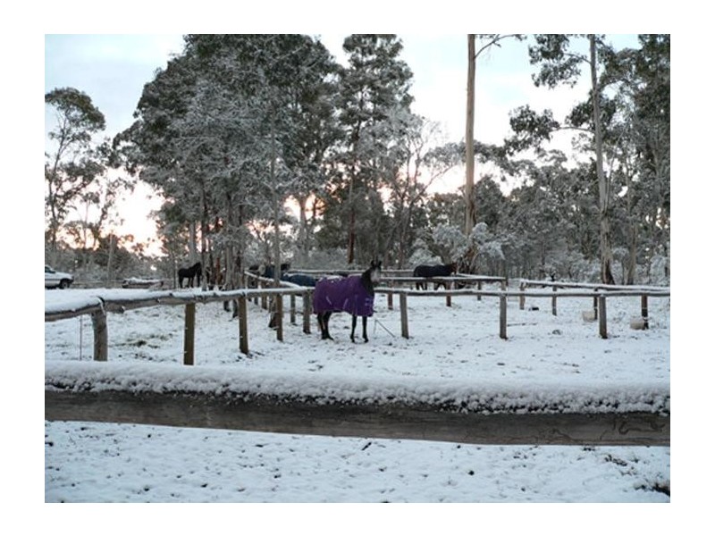 230  Bradley Drive, Tumbarumba NSW 2653