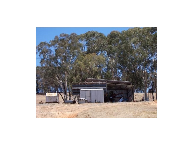 60   Ramsay Road, Tumbarumba NSW 2653
