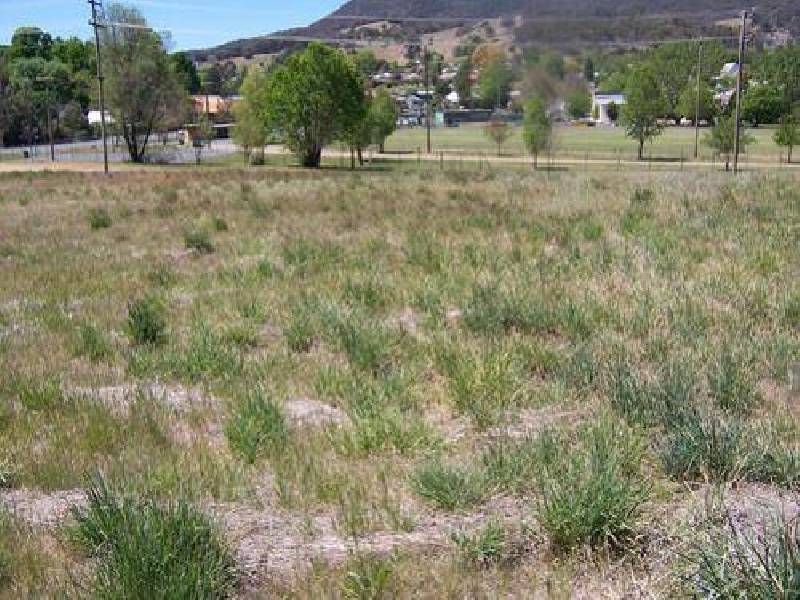 Lot 4  Mate Street, Tumbarumba NSW 2653