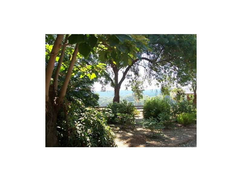601  Back Kunama Road, Batlow NSW 2730