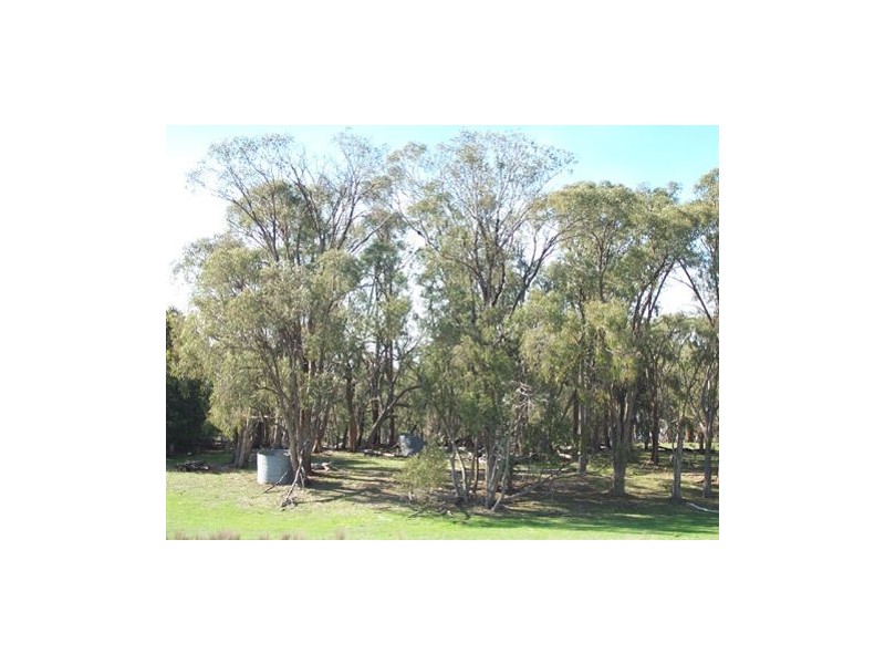 233  Mt Ikes Road, Tumbarumba NSW 2653