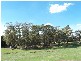 233  Mt Ikes Road, Tumbarumba NSW 2653