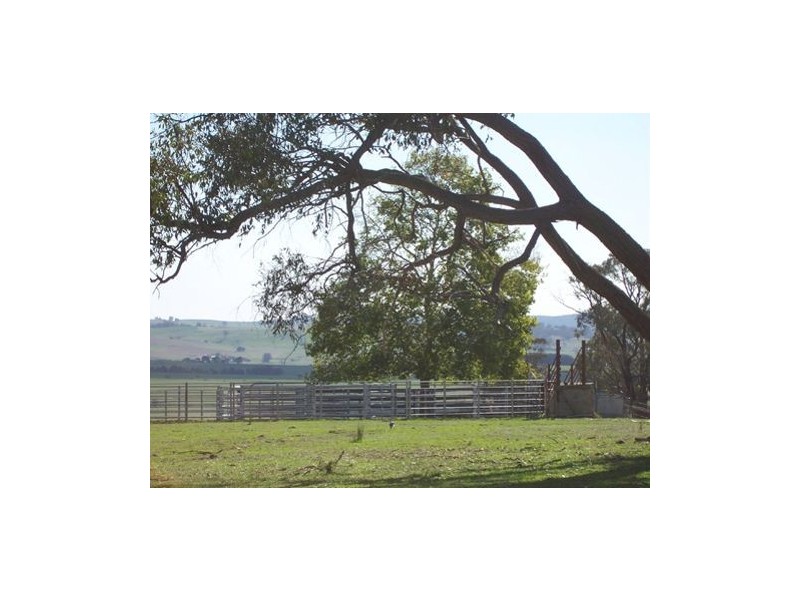 233  Mt Ikes Road, Tumbarumba NSW 2653