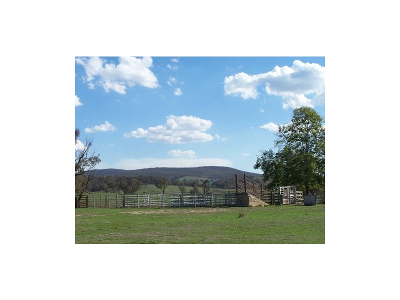 233  Mt Ikes Road, Tumbarumba NSW 2653
