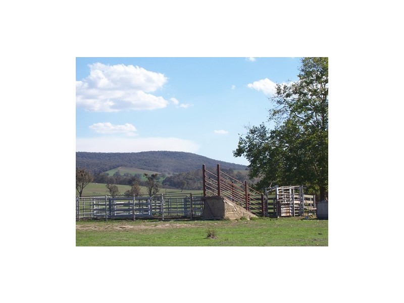 233  Mt Ikes Road, Tumbarumba NSW 2653