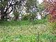 120  Winton Street, Tumbarumba NSW 2653