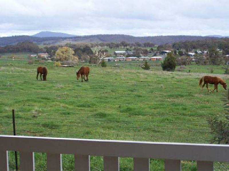 1  Chisholm Street, Tumbarumba NSW 2653