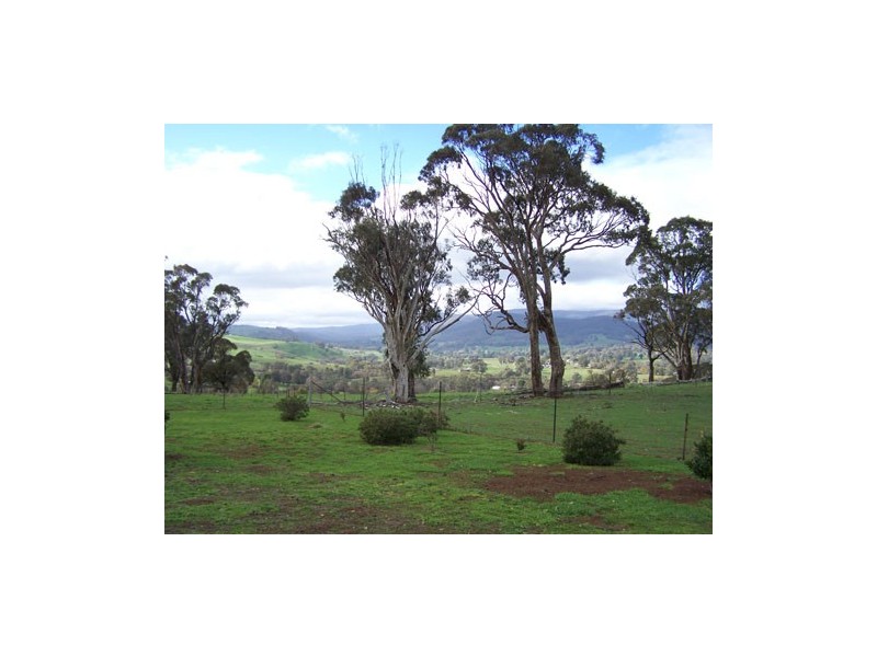 1  Chisholm Street, Tumbarumba NSW 2653