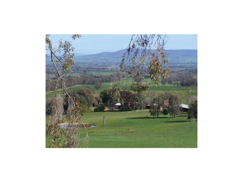 Lot 11  Jingellic Road, Holbrook NSW 2644