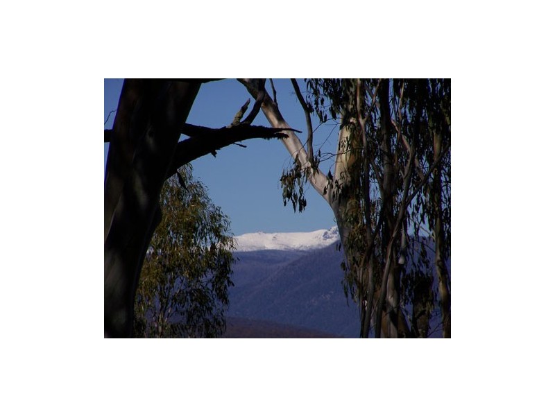 Lot 6  Moody’s Hill Road, Tumbarumba NSW 2653