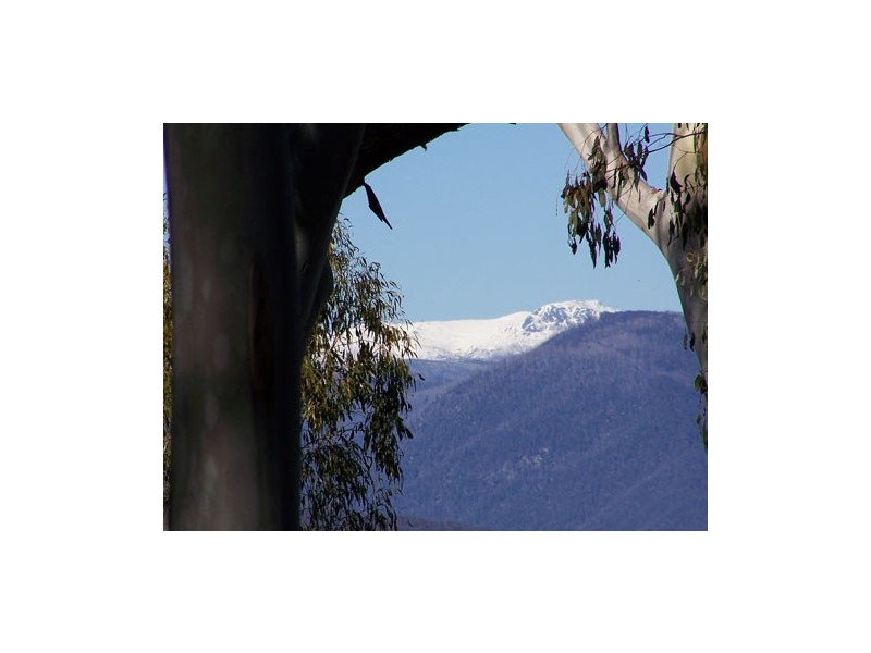 Lot 6  Moody’s Hill Road, Tumbarumba NSW 2653