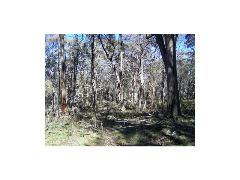 Lot 6  Moody’s Hill Road, Tumbarumba NSW 2653