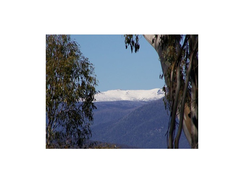 Lot 6  Moody’s Hill Road, Tumbarumba NSW 2653