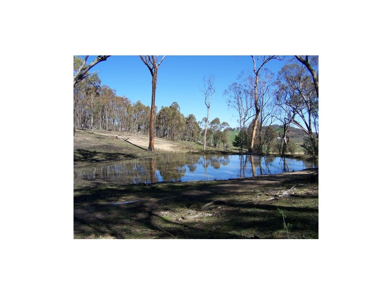 Lot 1  Elliott Way, Tumbarumba NSW 2653