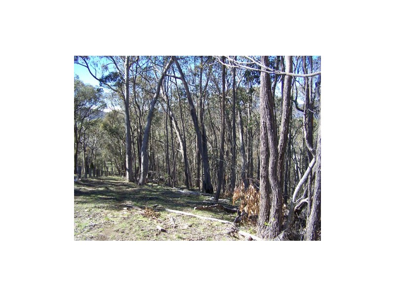 Lot 1  Elliott Way, Tumbarumba NSW 2653