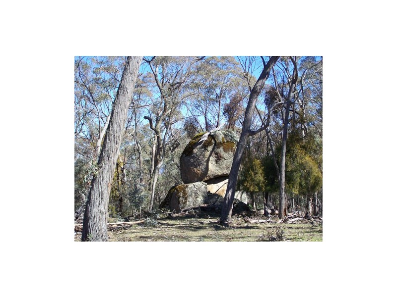 Lot 1  Elliott Way, Tumbarumba NSW 2653