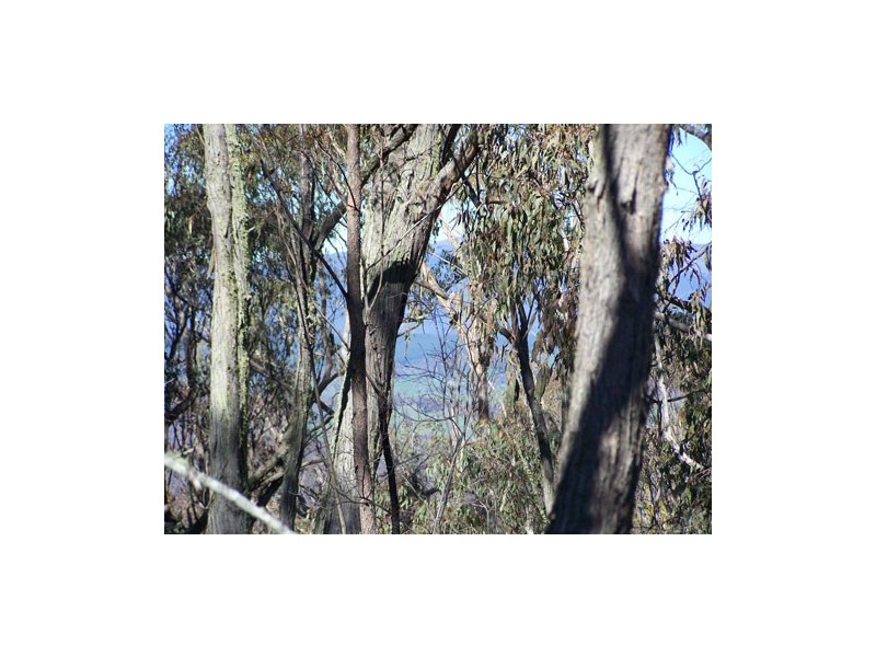 Lot 1  Elliott Way, Tumbarumba NSW 2653