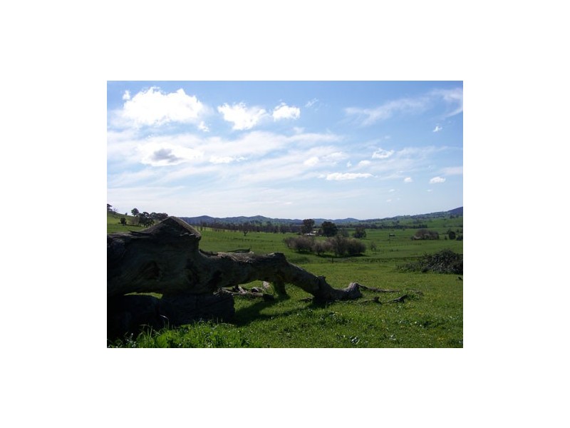 369  Westbrook Road,  Oberne Creek, Tumbarumba NSW 2653