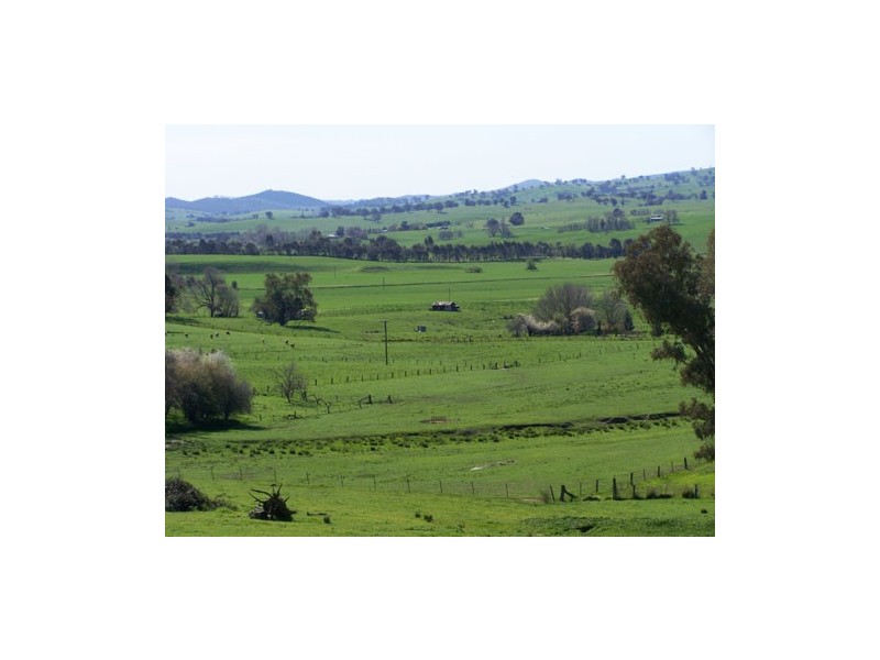 369  Westbrook Road,  Oberne Creek, Tumbarumba NSW 2653