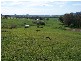 369  Westbrook Road,  Oberne Creek, Tumbarumba NSW 2653