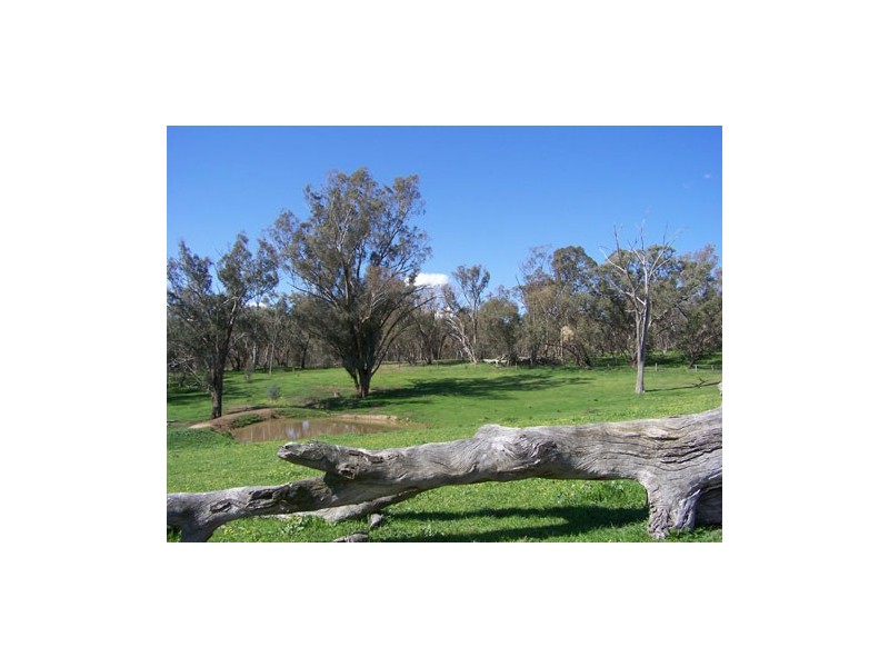 369  Westbrook Road,  Oberne Creek, Tumbarumba NSW 2653