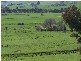 369  Westbrook Road,  Oberne Creek, Tumbarumba NSW 2653