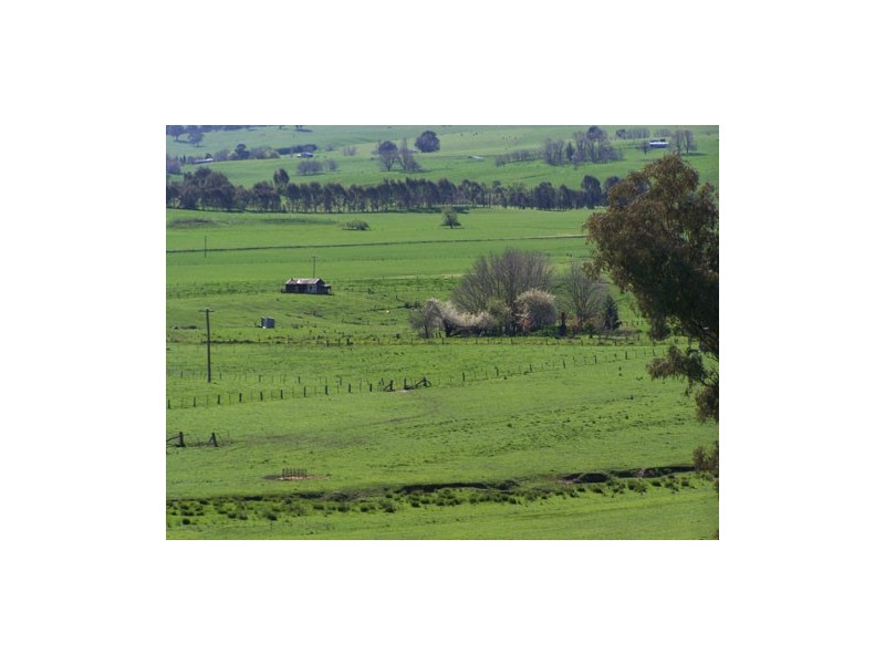 369  Westbrook Road,  Oberne Creek, Tumbarumba NSW 2653