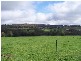 1159   Batlow Road, Tumbarumba NSW 2653