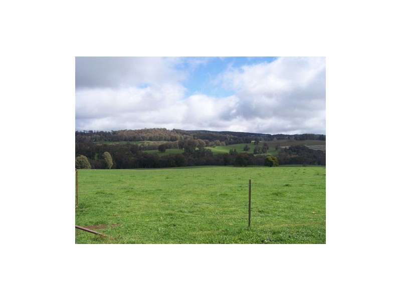 1159   Batlow Road, Tumbarumba NSW 2653