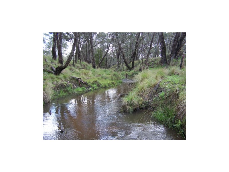 1159   Batlow Road, Tumbarumba NSW 2653