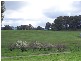 1159   Batlow Road, Tumbarumba NSW 2653