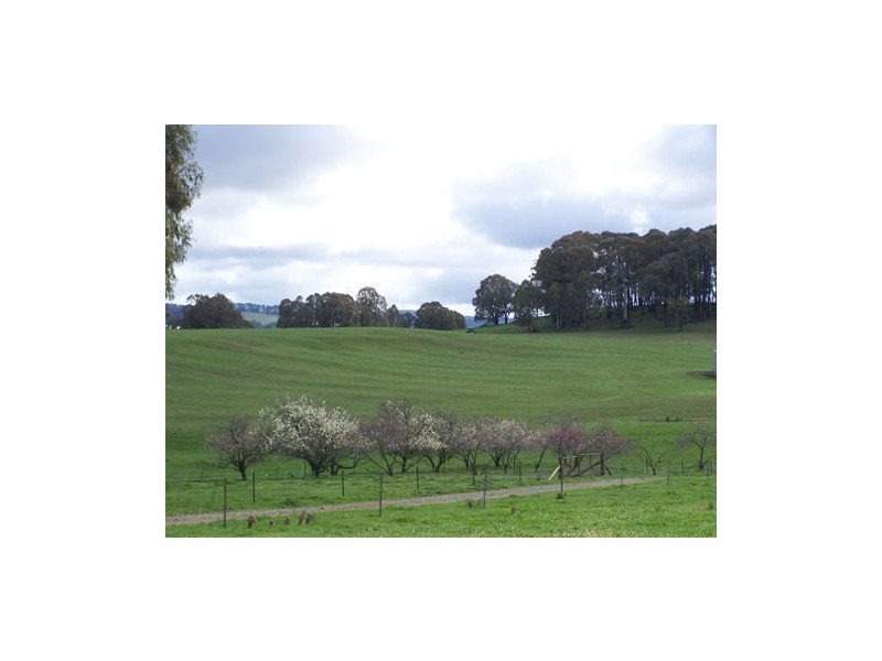 1159   Batlow Road, Tumbarumba NSW 2653