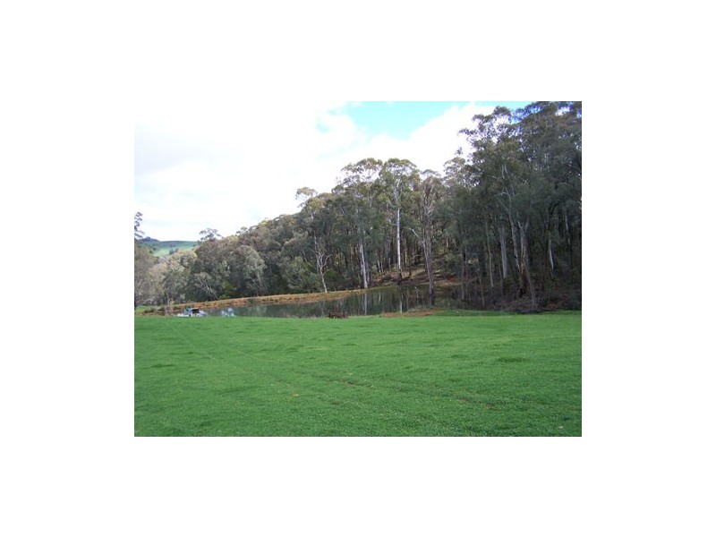 1159   Batlow Road, Tumbarumba NSW 2653