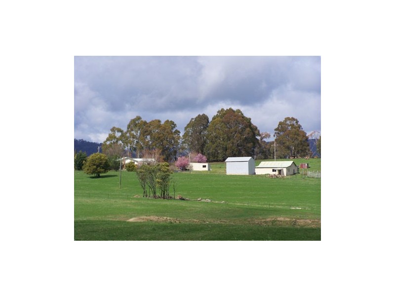 1159  Batlow Road, Tumbarumba NSW 2653