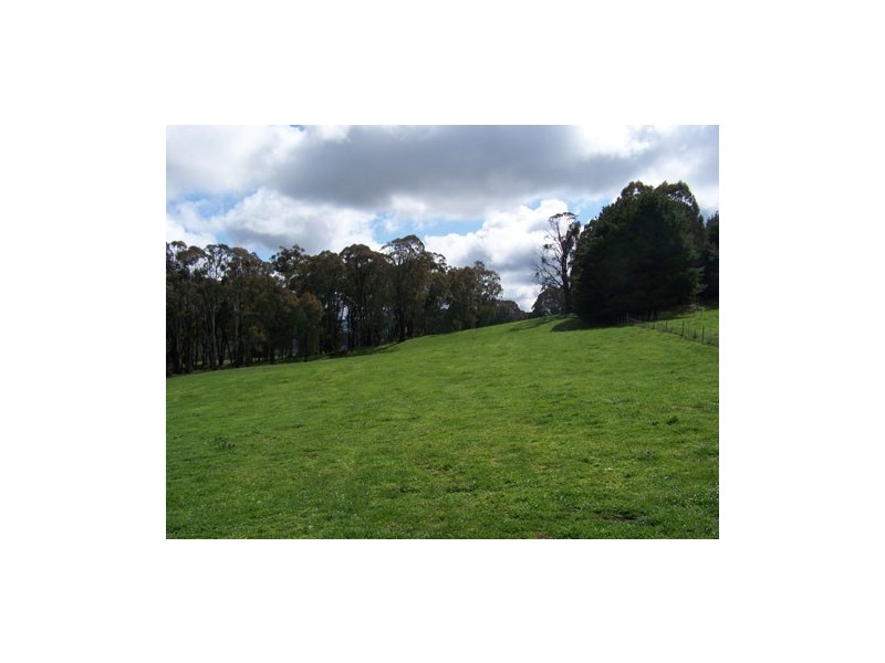 1159  Batlow Road, Tumbarumba NSW 2653