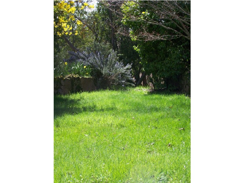 70  Bago Forest Road, Tumbarumba NSW 2653