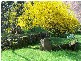 70  Bago Forest Road, Tumbarumba NSW 2653