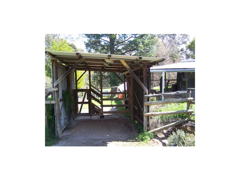 70  Bago Forest Road, Tumbarumba NSW 2653