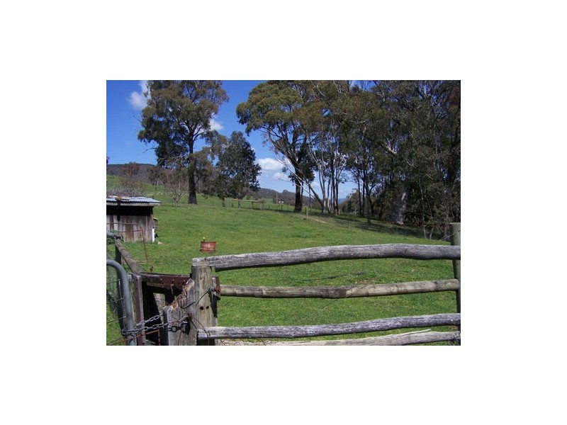 70  Bago Forest Road, Tumbarumba NSW 2653