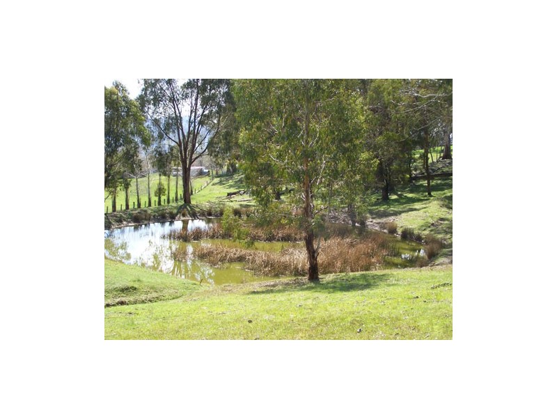 70  Bago Forest Road, Tumbarumba NSW 2653