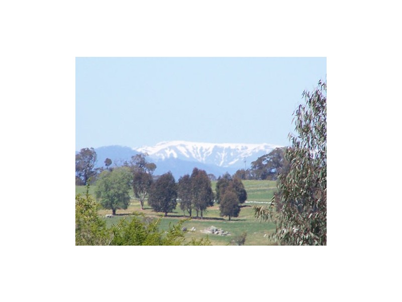 7  Albury Street, Tumbarumba NSW 2653