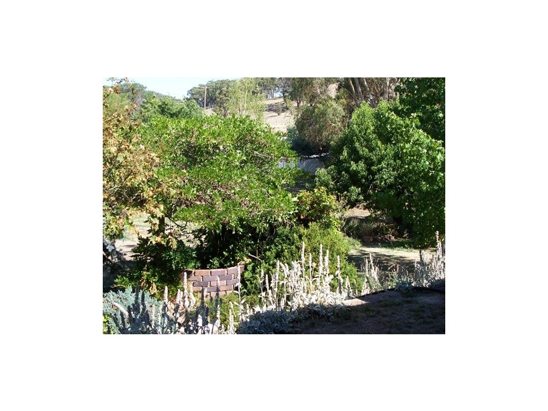 6  Harrow Street, Tumbarumba NSW 2653