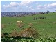 0  Carabost Road, Humula NSW 2652