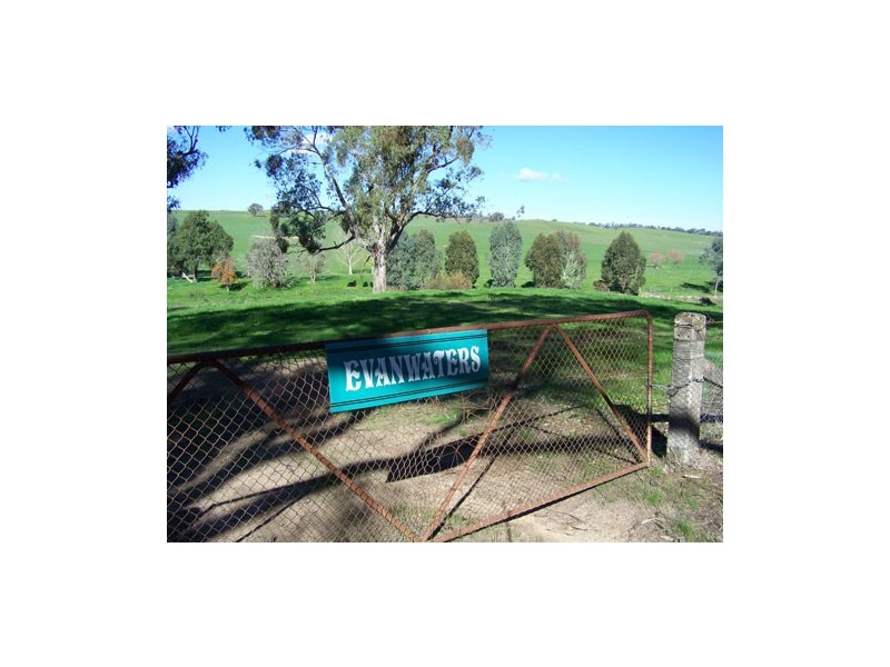 0  Carabost Road, Humula NSW 2652