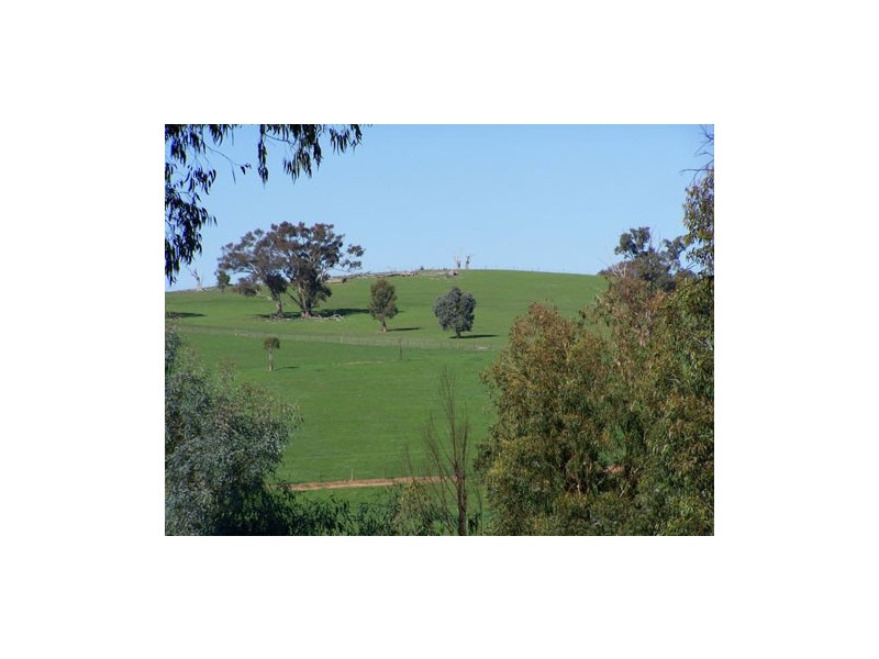 0  Carabost Road, Humula NSW 2652