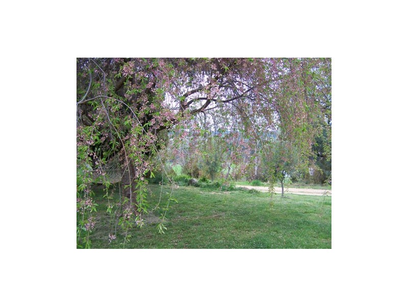 1420 Batlow Road, Tumbarumba NSW 2653