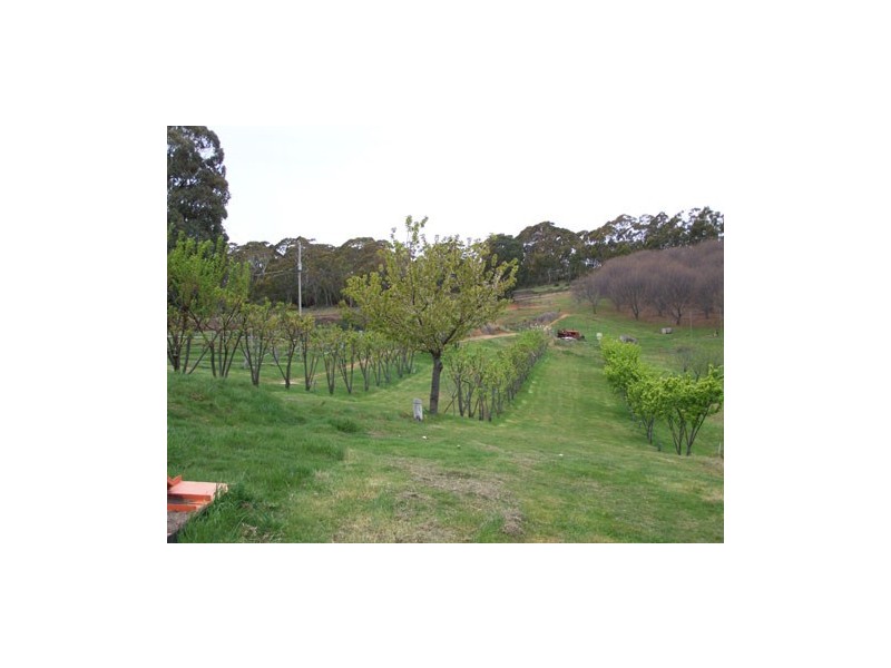 1420 Batlow Road, Tumbarumba NSW 2653