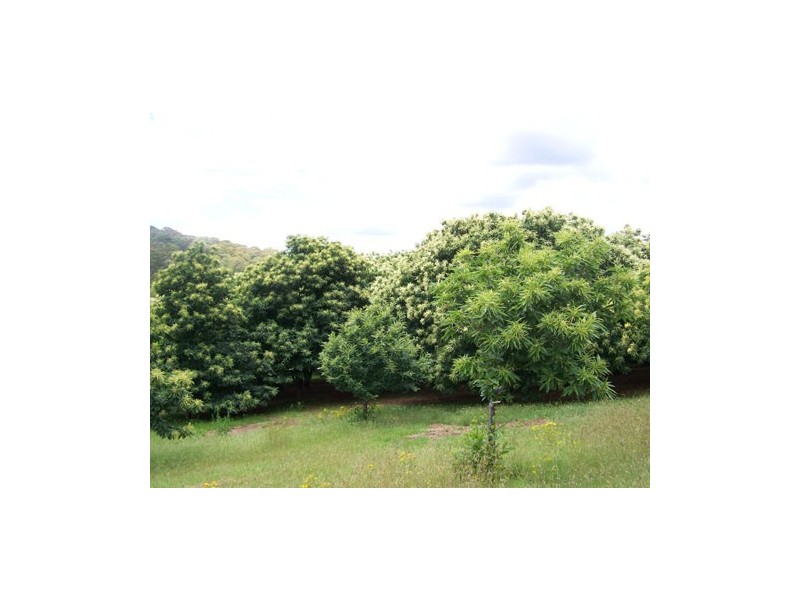 1420 Batlow Road, Tumbarumba NSW 2653