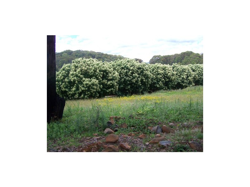 1420 Batlow Road, Tumbarumba NSW 2653